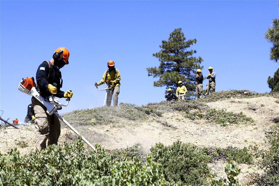 MAY 16: Using brushcutters to manage a fuel break photo