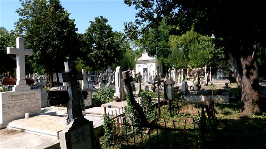 Bellu_cemetery (18) photo
