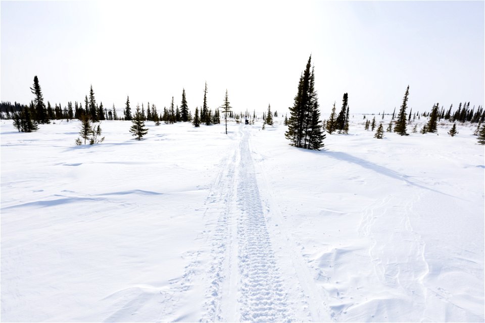Textures of snow at Selawik National Wildlife Refuge