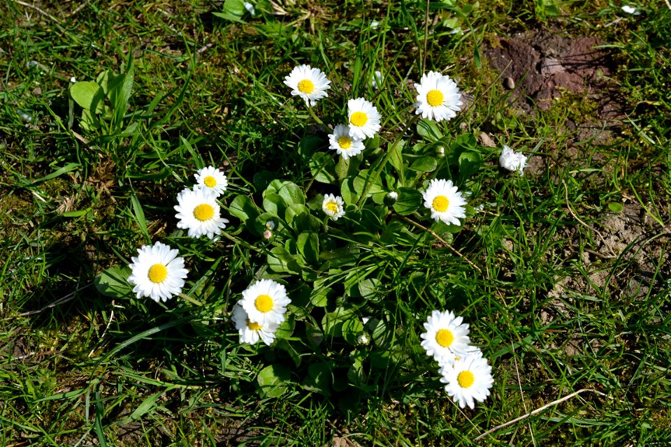 Spring ,April 2023