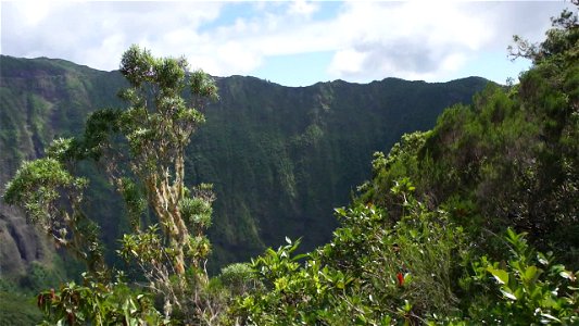 Mountain of La Reunion
