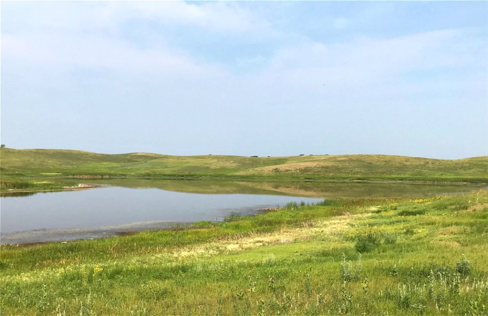 Cornell Waterfowl Production Area