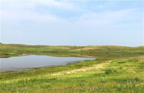 Cornell Waterfowl Production Area photo