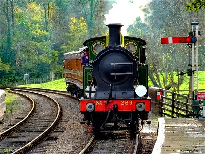 STEAM TRAIN