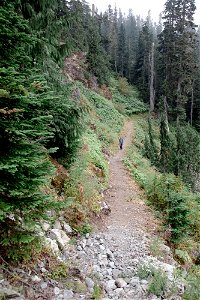 PNTA-Park Butte-Bell Pass-Mount Baker-12 photo