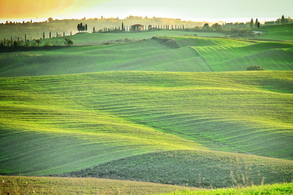 Green tuscany italy