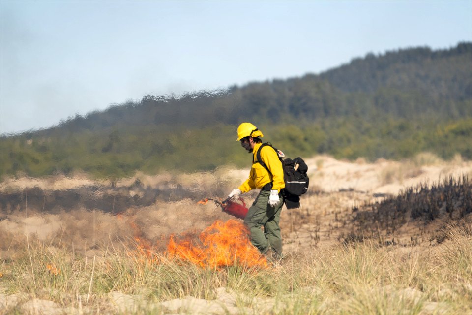 Siuslaw Oregon Dunes Prescribed Burn 2022 photo