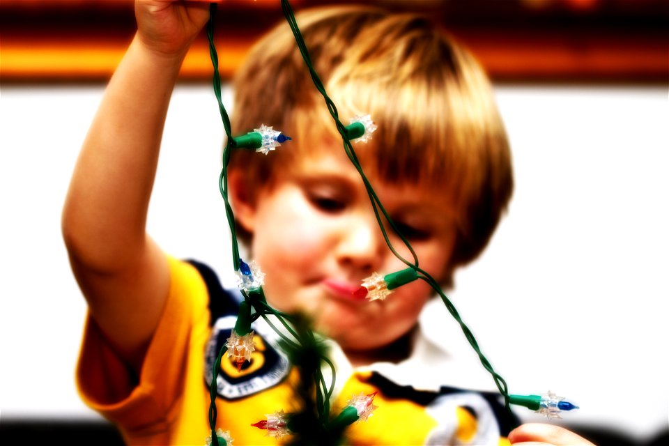 Setting up the Christmas Tree photo