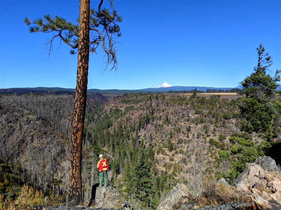 2021 BLM Fire Employee Photo Contest Category: ESR and BAER