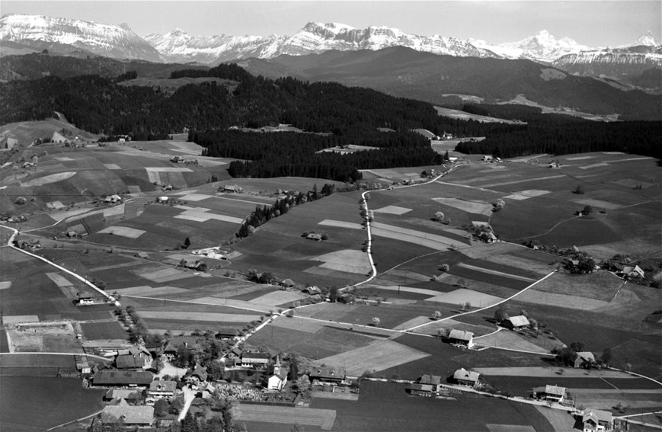 Linden 1