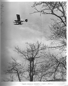 (1972) Eagle Nest Fly-By photo