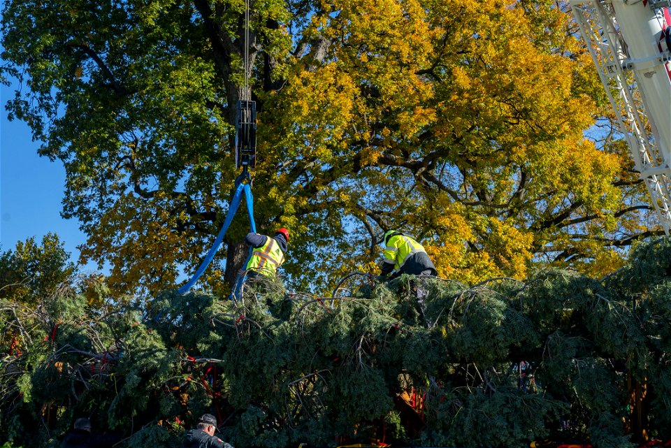 CapitolXmasTree-WashingtonDC-030