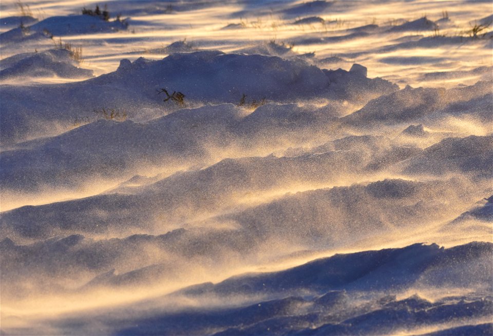 Sage steppe winter at Seedskadee NWR