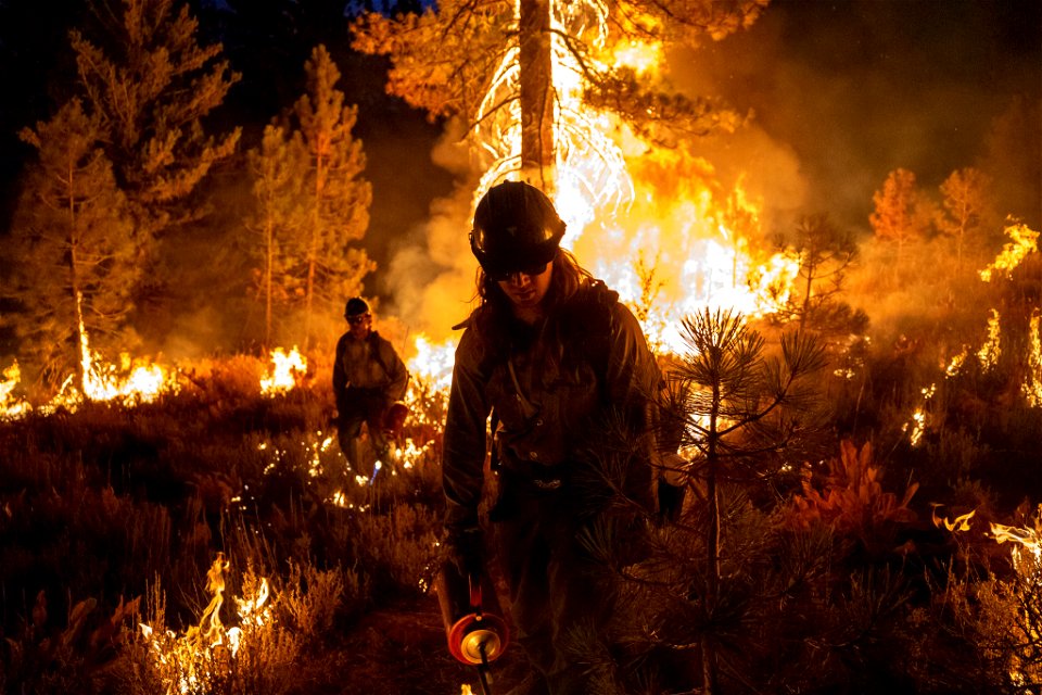 Ruby Mountain Hotshots
