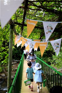 2023/6/4 Niceday森林祭親子生態觀察