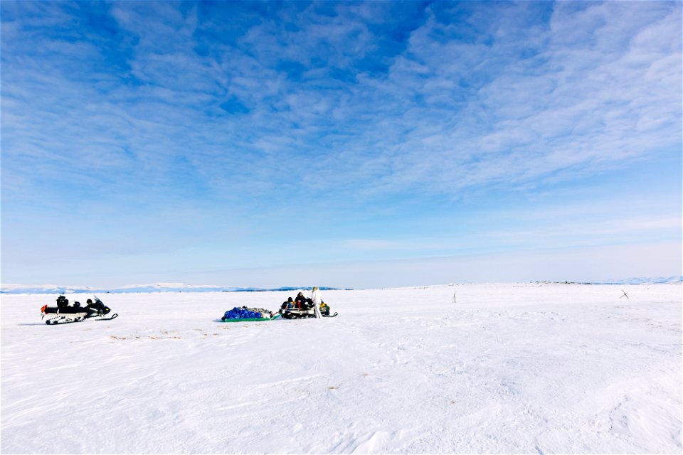 Winter travel on the tundra.