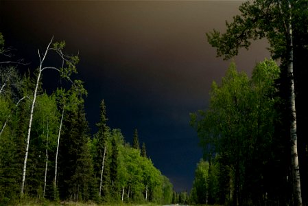 Smoke turns day to night along Funny River Road photo