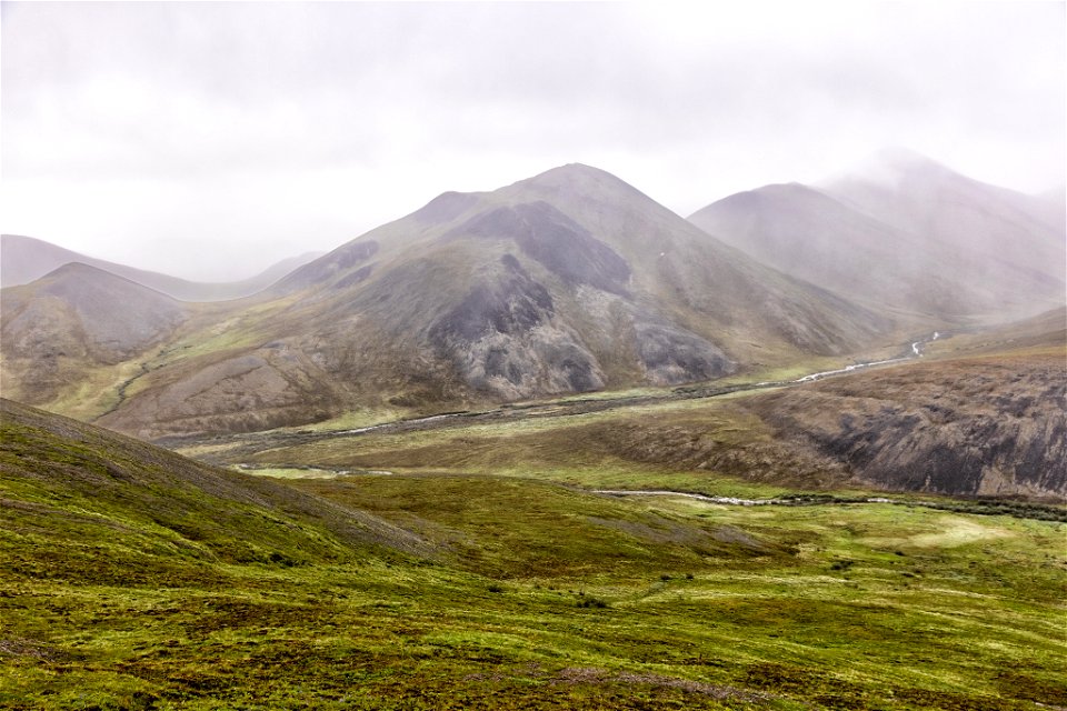 Rain and mist in the Brooks Range foothills photo