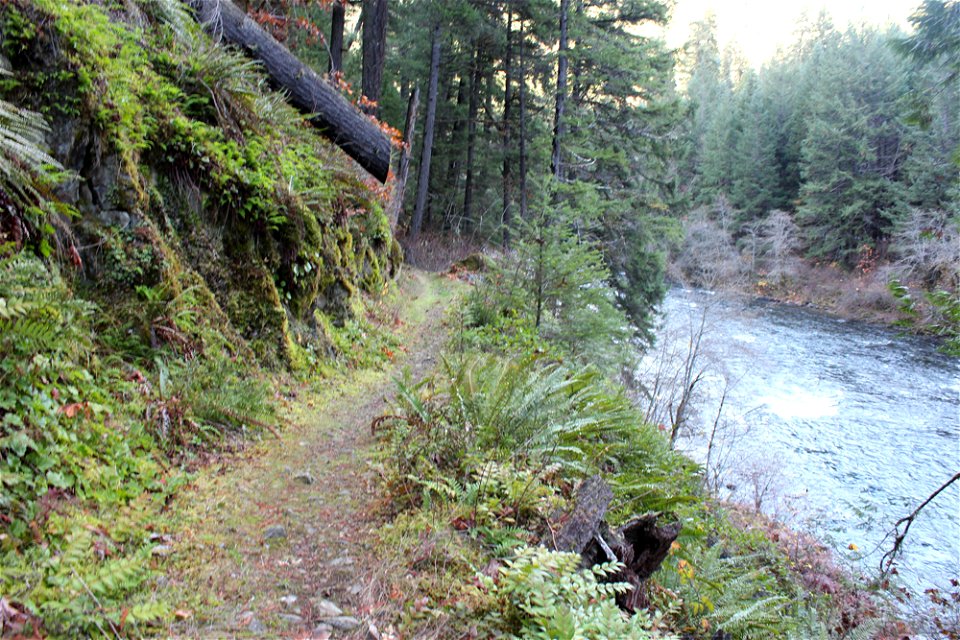 img_2208_trail22jpg_49364515701_o