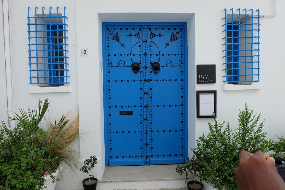 Traditional door decoration windows