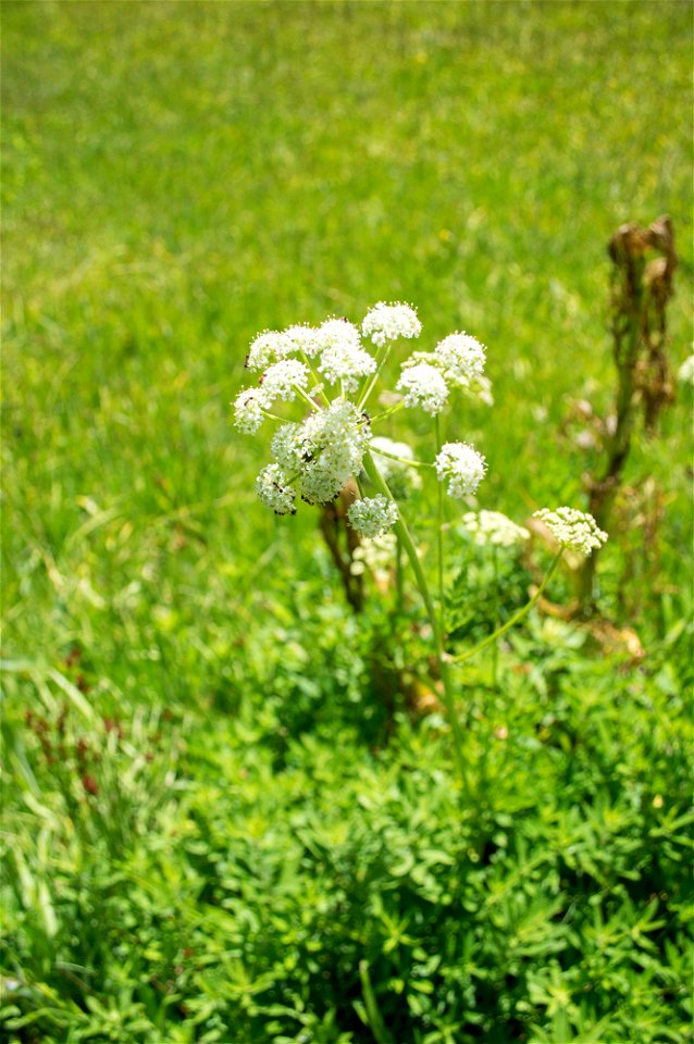 untitled-1535jpg_49385779132_o
