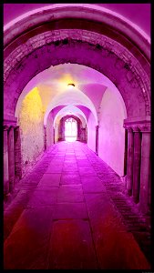 Canterbury Cathedral Light stalking