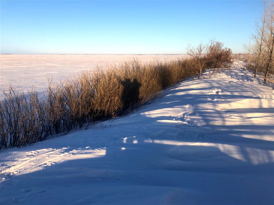 Our shadows at the top drift