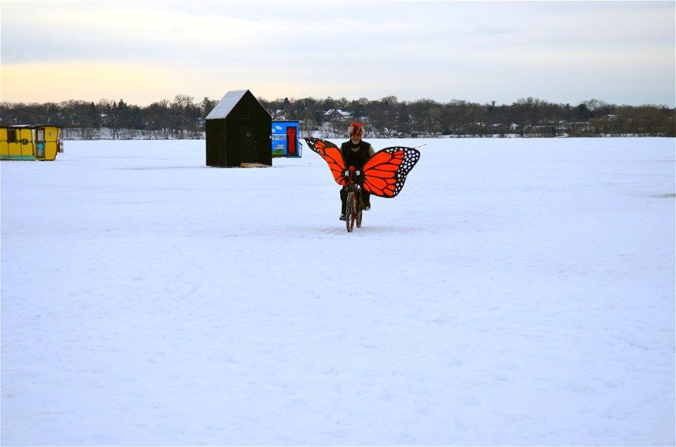 Monarch butterfly biking