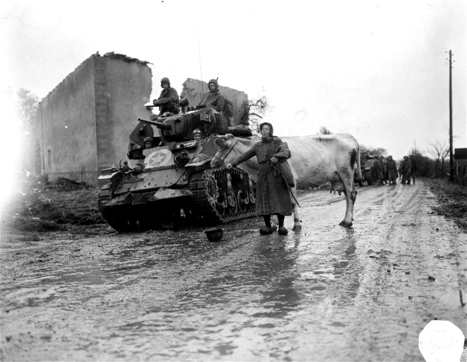 SC 195741 - Mechanized equipment of the 2nd Cavalry Regiment passes a French woman leading her cow as it enters the battle-scarred town of Beauzemont, France. 18 October, 1944.