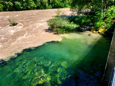 Sauk River at Clear Creek confluence, Mt. Baker-Snoqualmie National Forest. Photo by Anne Vassar June 28, 2021. photo