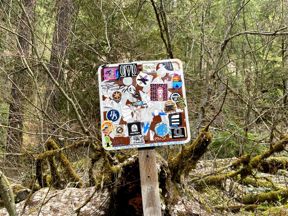 Trash and vandalism at Umpqua Hot bsprings on the Umpqua National Forest