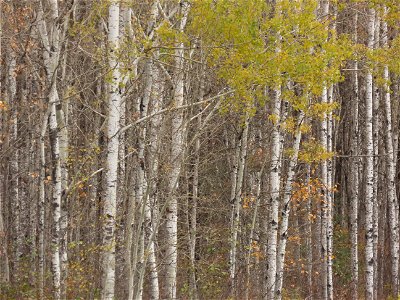 20221011-FS-Superior-SAR-004