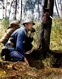 C-857 - A member of the Signal Corps wearing a field pack sends a message over a field telephone during training in the field. photo