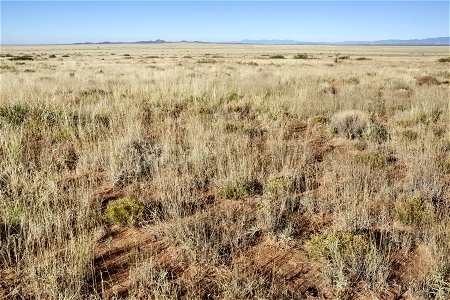 South of the Sierra Larga