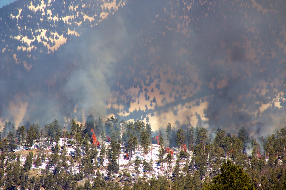 Dry Lake Hills burn project January 2023 photo