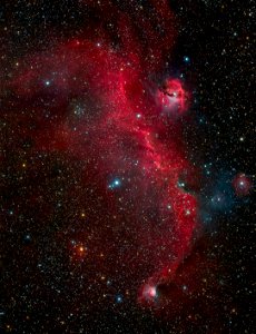 The Seagull Nebula (IC 2177)