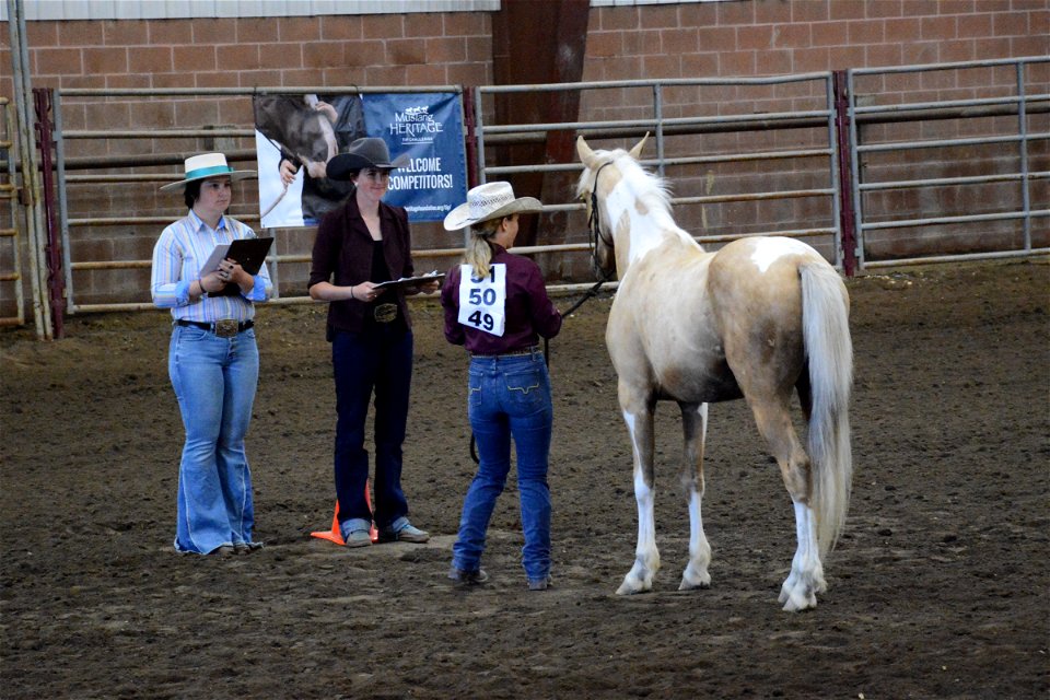 Northern Utah Wild Horse & Burro Festival - 2022 photo