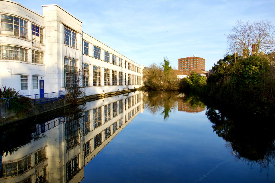 Mill Pond Reflections