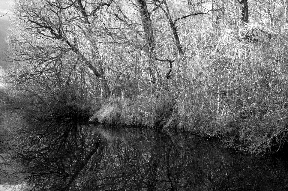 winter walk