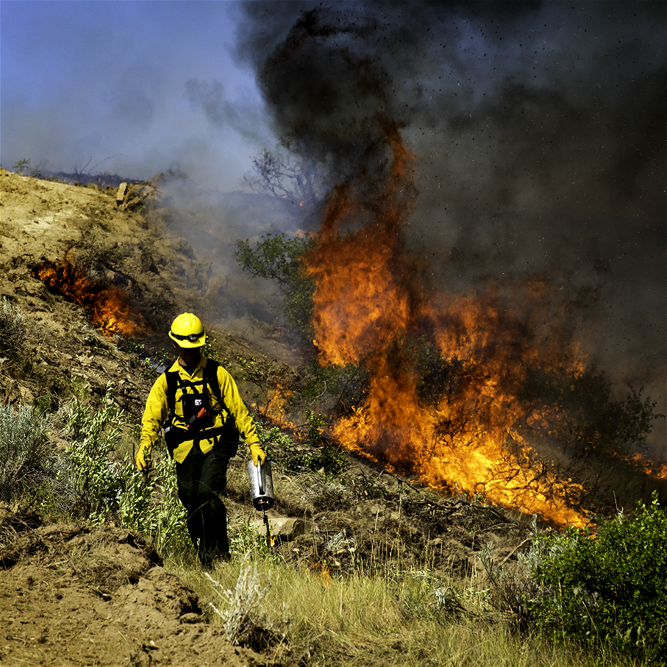 Harris Fire photo