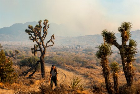 Park Ranger and Smoke from the Elk Fire photo