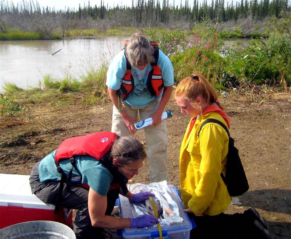 2015_Tetlin_YCC (31)