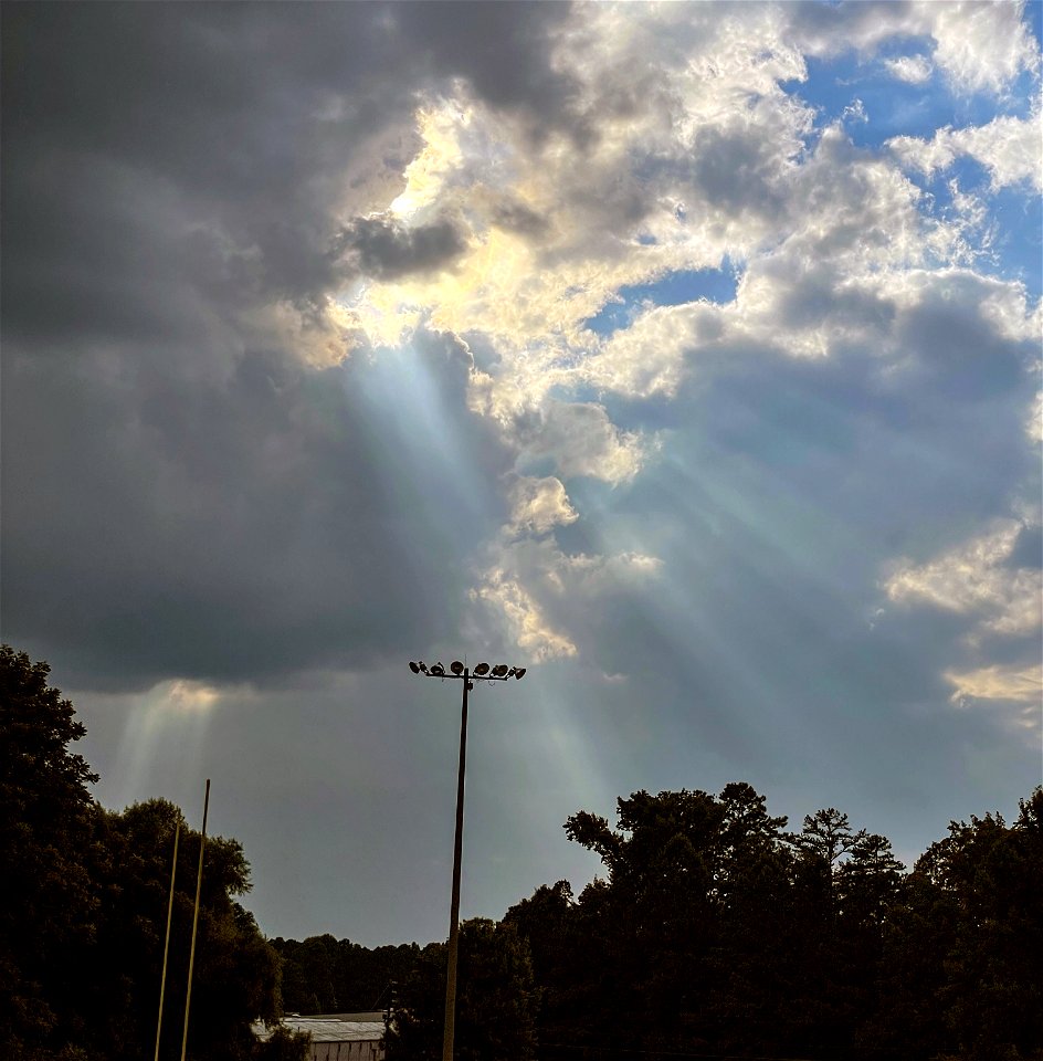 Day 216 - Rays of Light photo