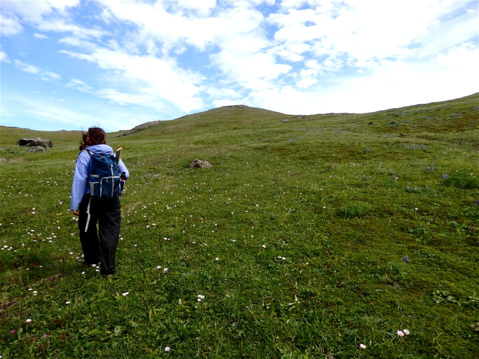 R07AMNWR_BarrenIslands_KLund_2016