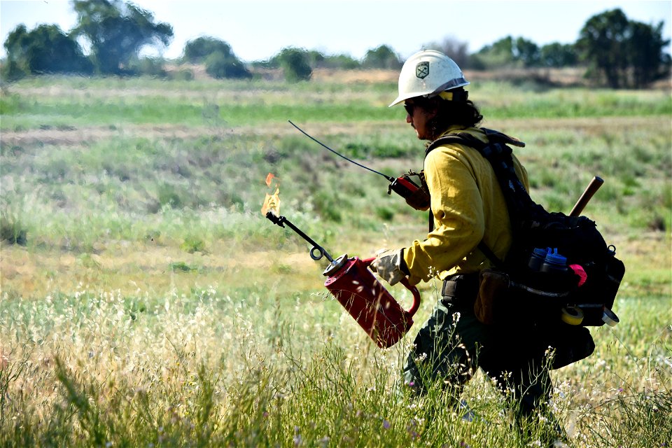 BLM’s Folsom Lake Veterans Crew perform RX Burn at Cosumnes River Preserve restoring critical habitat.
