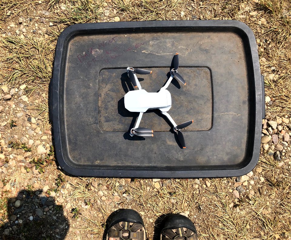 2021/365/203 Drone Time!