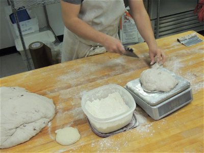 Commercial sourdough bread making photo