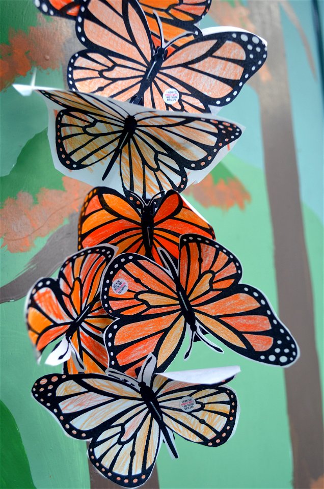 Monarch paper puppets