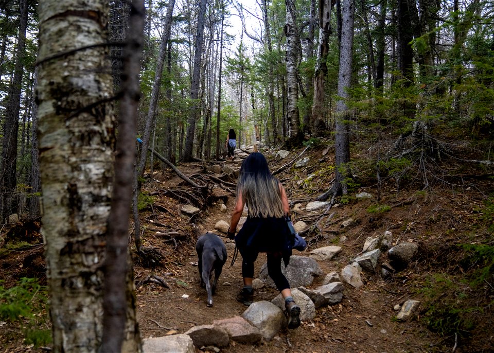 ArethusaFallsHike-WhiteMountain-May2021-003