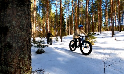Hämeen Ilvesreitti Hattula